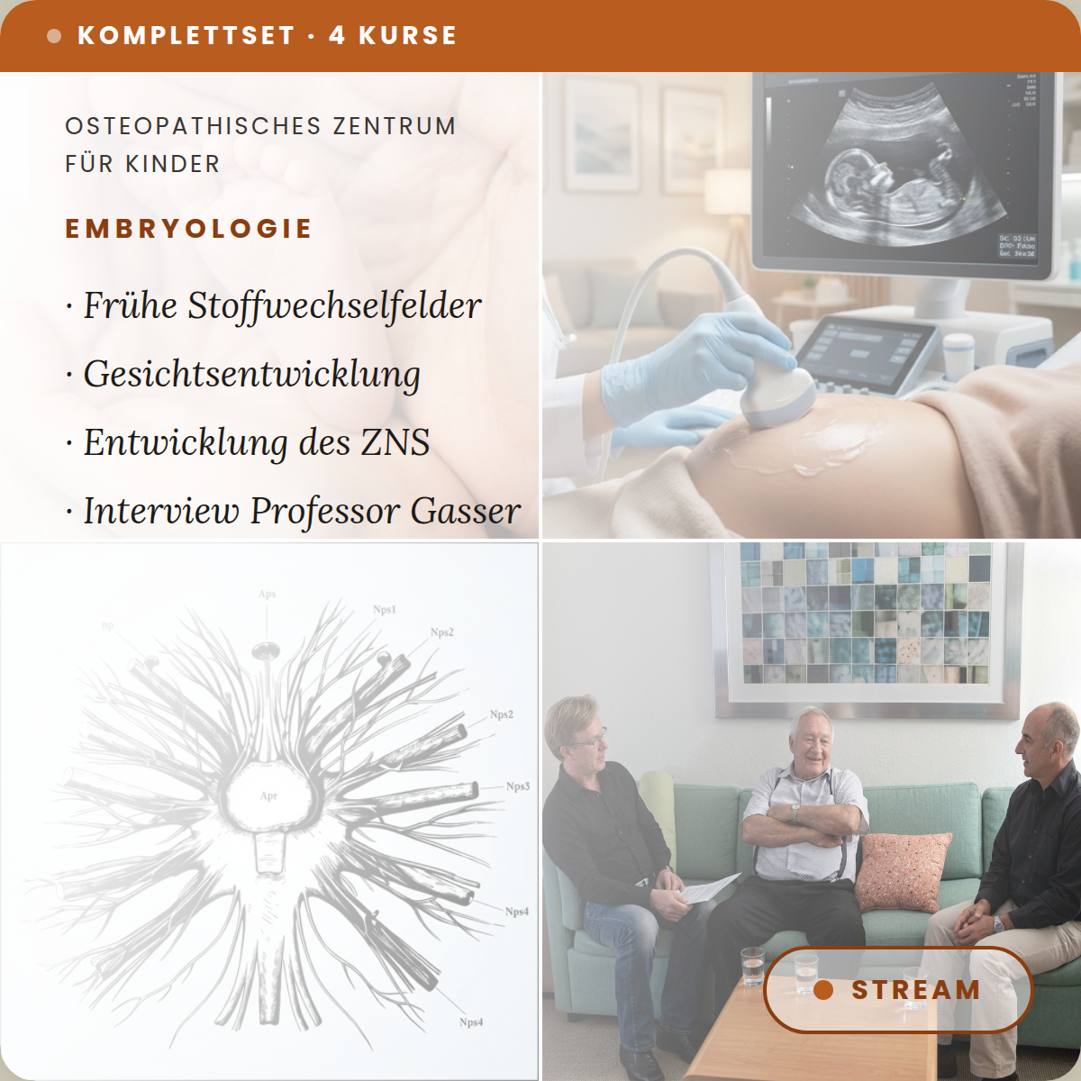 VT05-08 Embryologie Set