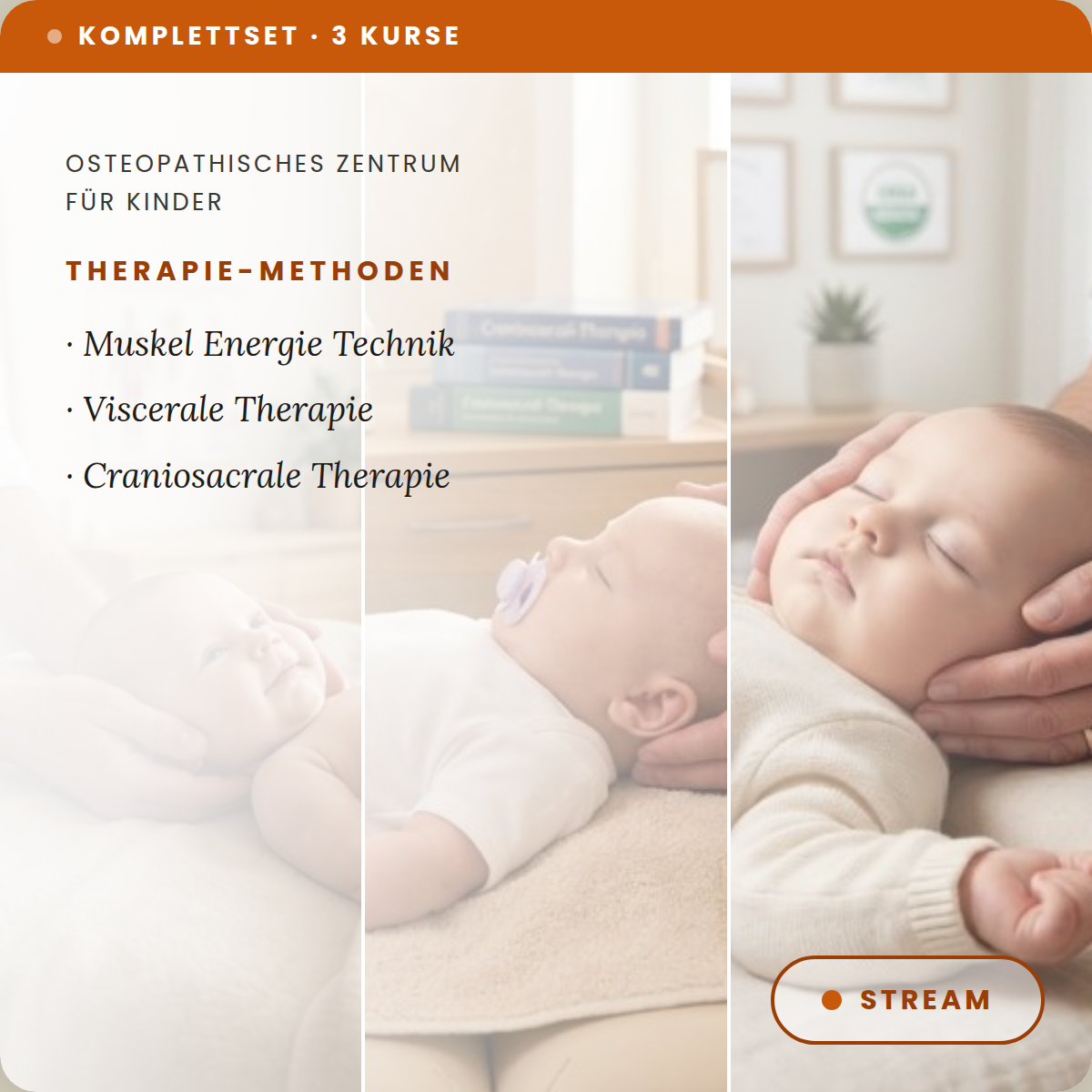Osteopathie 3er-Komplettset – CST, VIT und MET