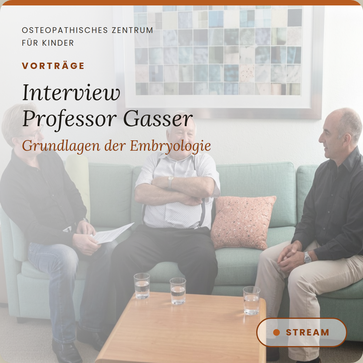 VT08 Grundlagen der Embryologie: Interview mit Prof. Gasser (Englisch)