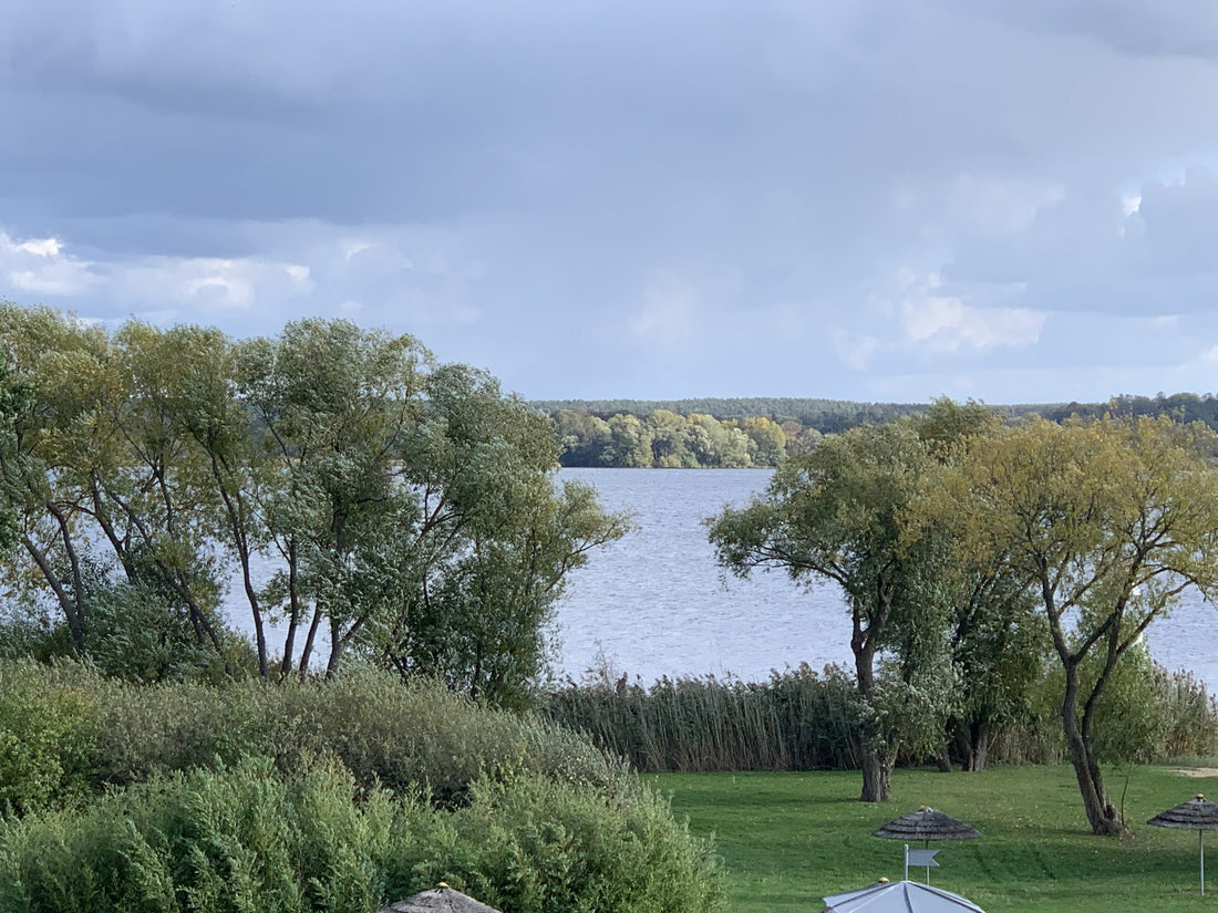 Stille