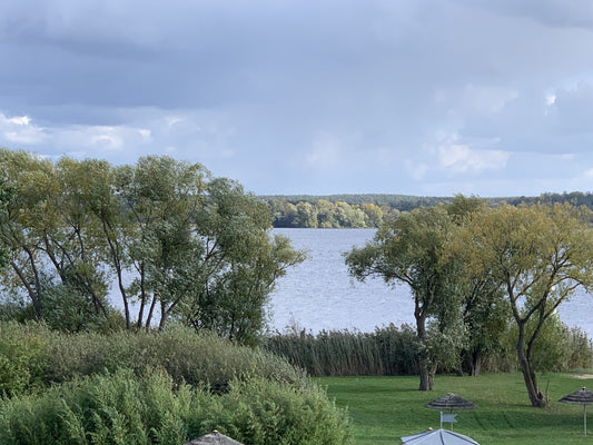 Stille