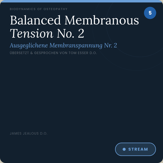 CD 005 Die ausgeglichenen Membranspannung Nr. 2 (Balanced Membranous Tension No. 2)