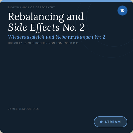 CD 010 Wiederausgleich und Nebenwirkungen Nr. 2 (Rebalancing and Side Effects No. 2)