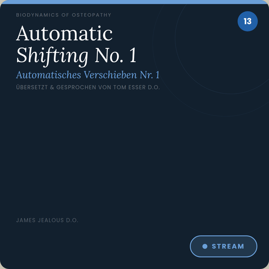 CD 013 Automatic Shifting No. 1 (Automatisches Verschieben Nr. 1)