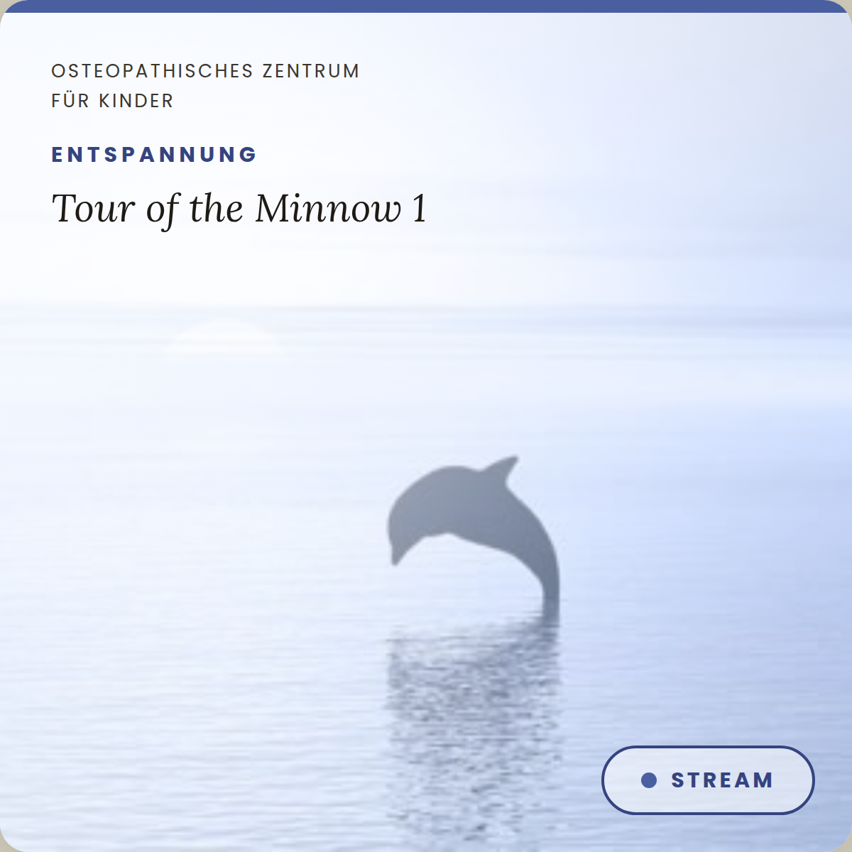 Tour of the Minnow 1