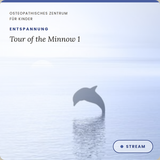 Tour of the Minnow 1