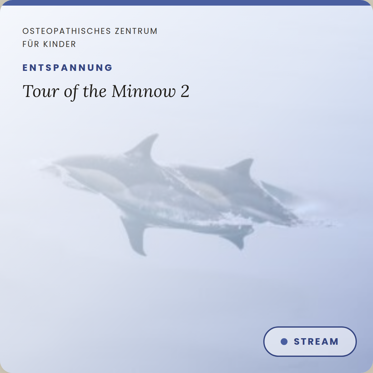 Tour of the Minnow 2