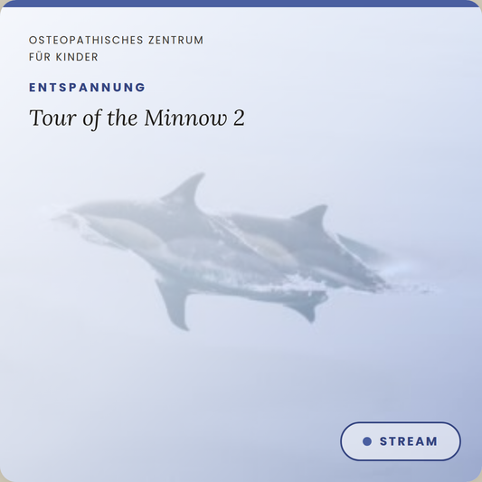 Tour of the Minnow 2