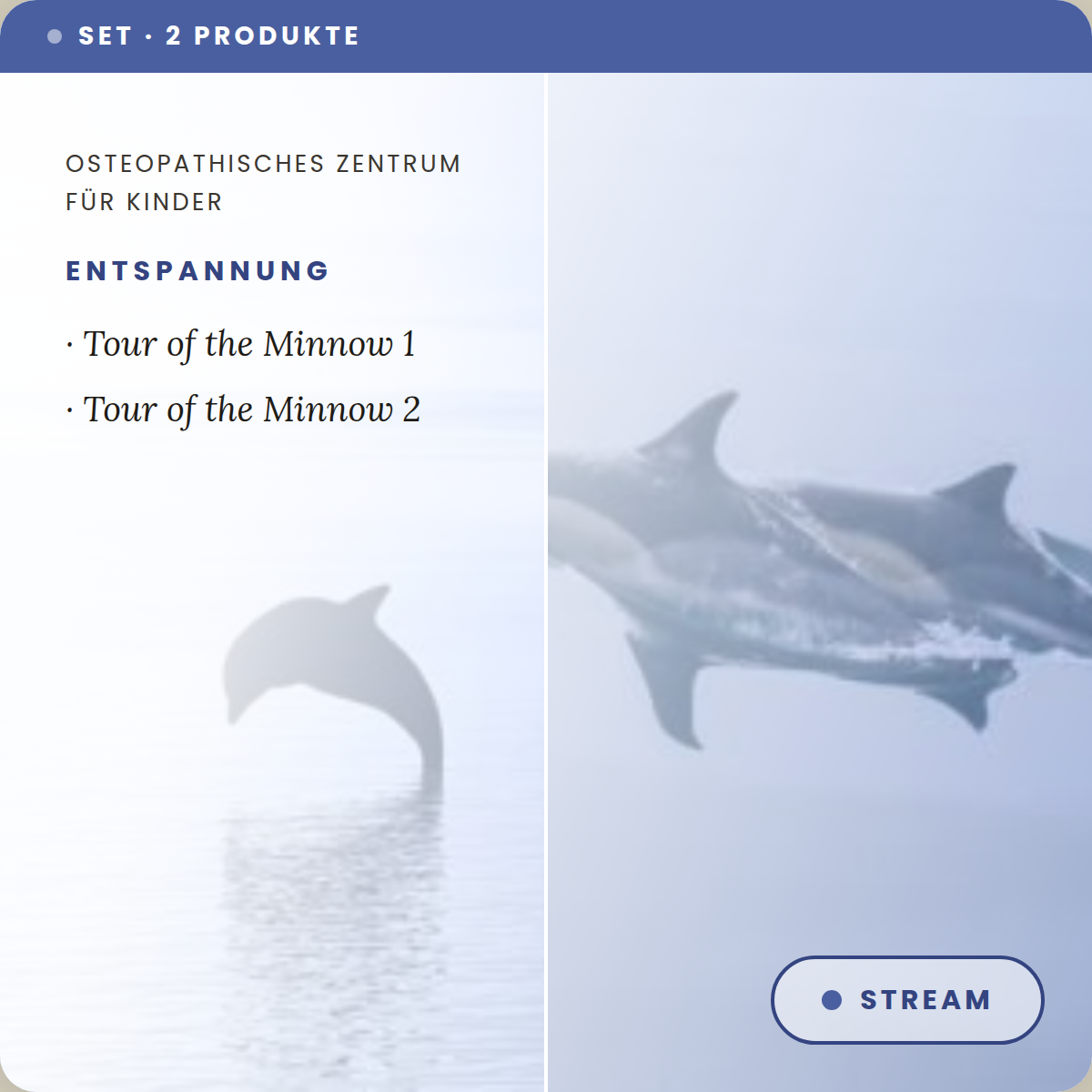 2er Set Tour of the Minnow 1/2