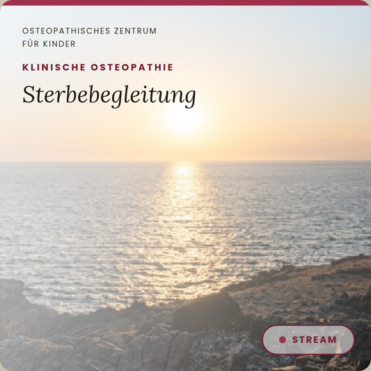 KO3 Sterbebegleitung