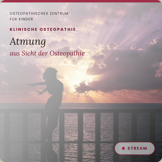 KO6 Atmung aus Sicht der Osteopathie