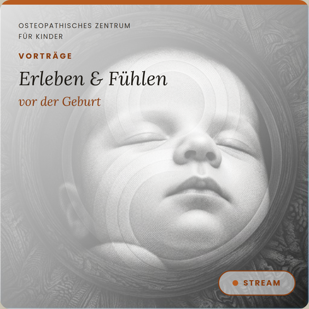 VT03 Erleben und Fühlen vor der Geburt Vortrag Schwalmstadt
