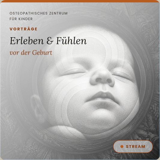 VT03 Erleben und Fühlen vor der Geburt Vortrag Schwalmstadt