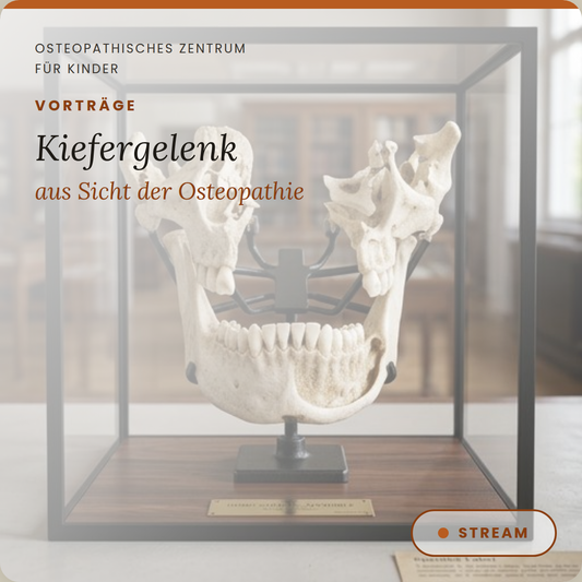 VT04 Das Kiefergelenk aus Sicht der Osteopathie