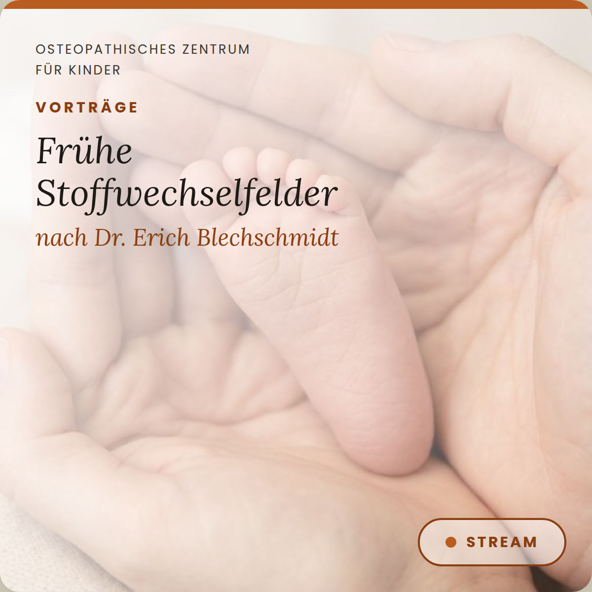 VT05 Vortrag zur Entwicklung der frühen Stoffwechselfelder nach Dr. Erich Blechschmidt