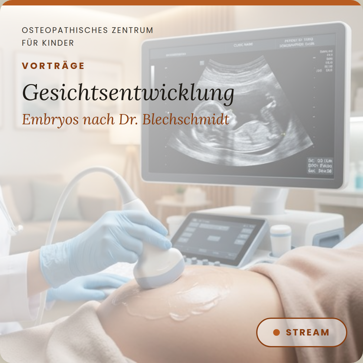 VT06 Vortrag zur Entwicklung des Gesichts bei Embryos nach Dr. Erich Blechschmidt