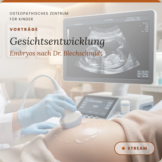VT06 Vortrag zur Entwicklung des Gesichts bei Embryos nach Dr. Erich Blechschmidt